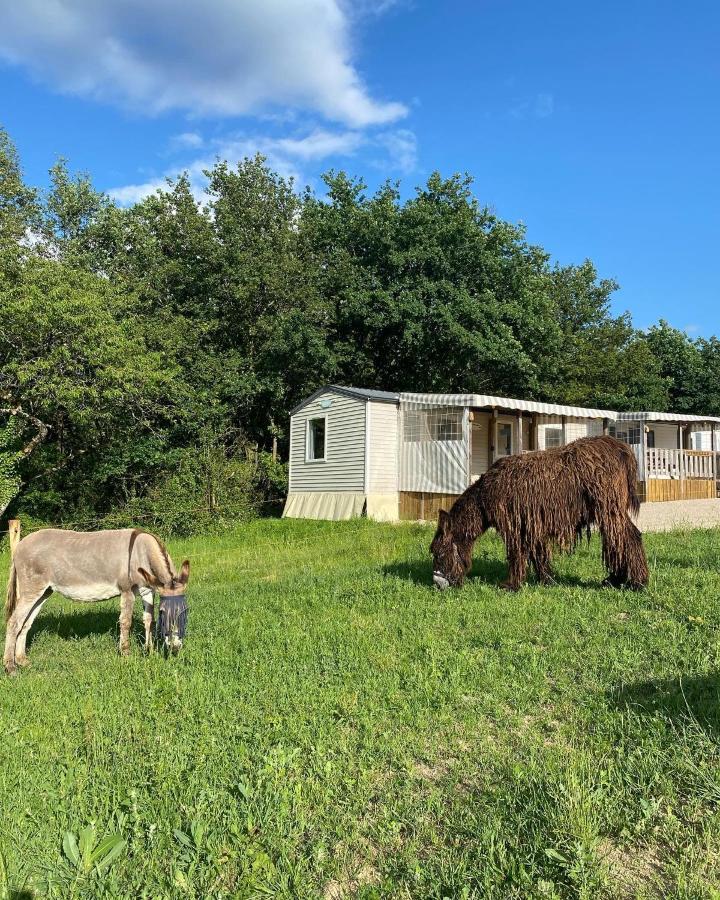 ברסויר Camping De La Ferme Aux Anesses, Mobil Home Sofia2 מראה חיצוני תמונה
